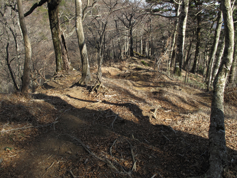 20190108hike (376)